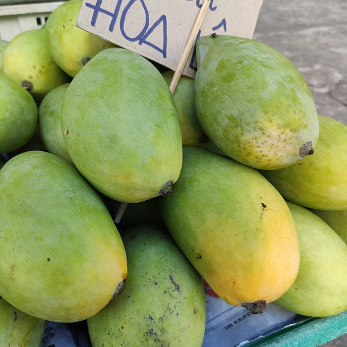 Xoài cát Hoà Lộc